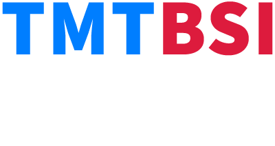 TMTBSI - Experienced Leadership Creating Custom Solutions Producing Real Results.