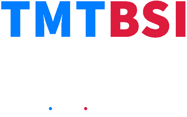 TMTBSI - Experienced Leadership Creating Custom Solutions Producing Real Results.